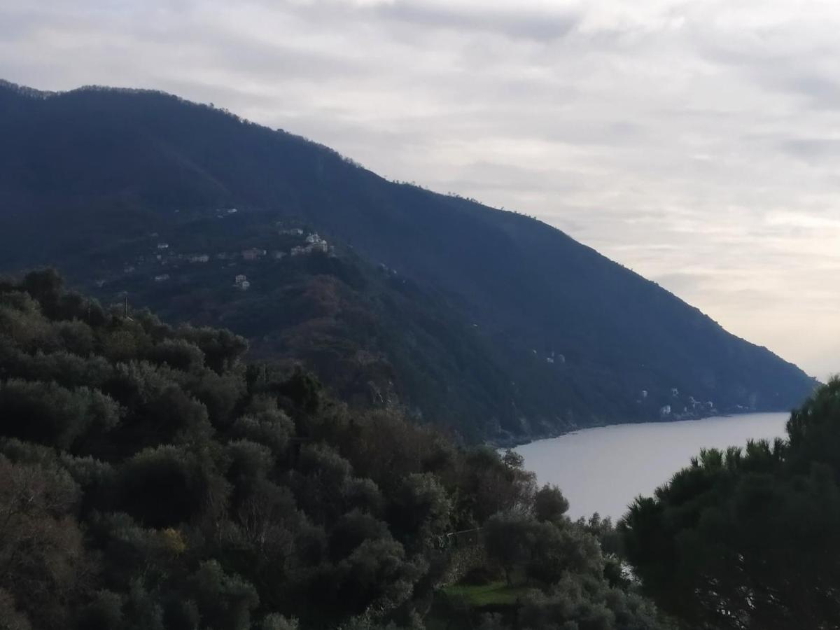 Villa San Prospero Camogli Exteriér fotografie