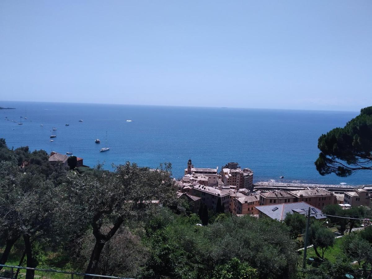 Villa San Prospero Camogli Exteriér fotografie