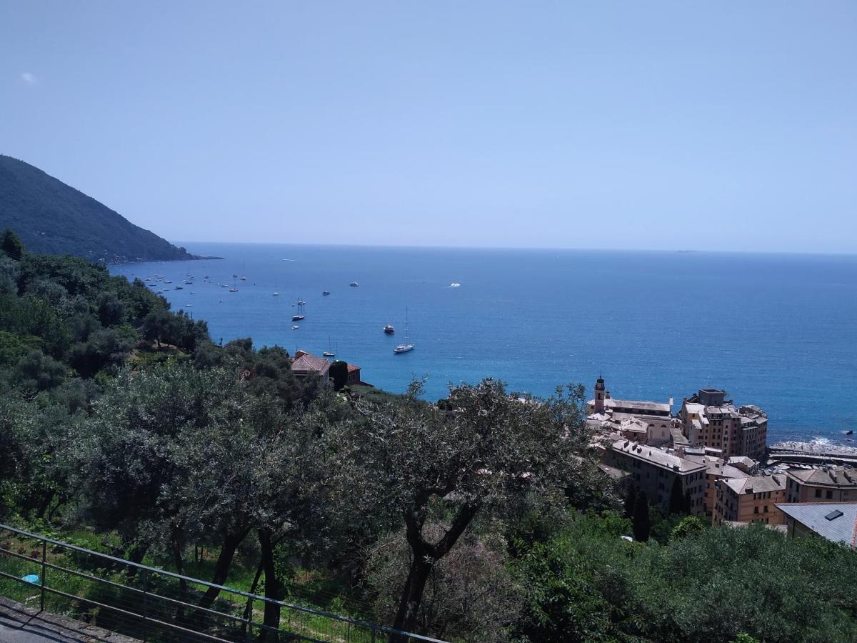 Villa San Prospero Camogli Exteriér fotografie