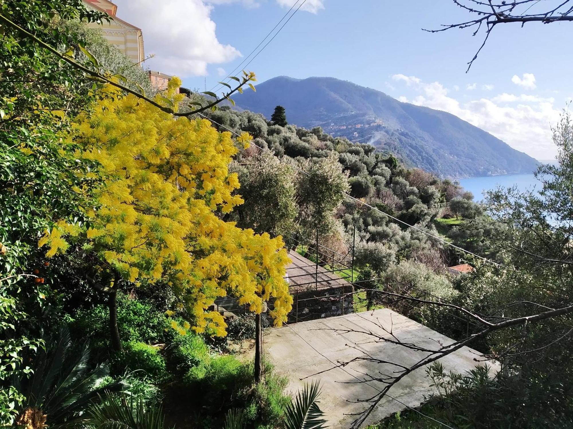 Villa San Prospero Camogli Pokoj fotografie