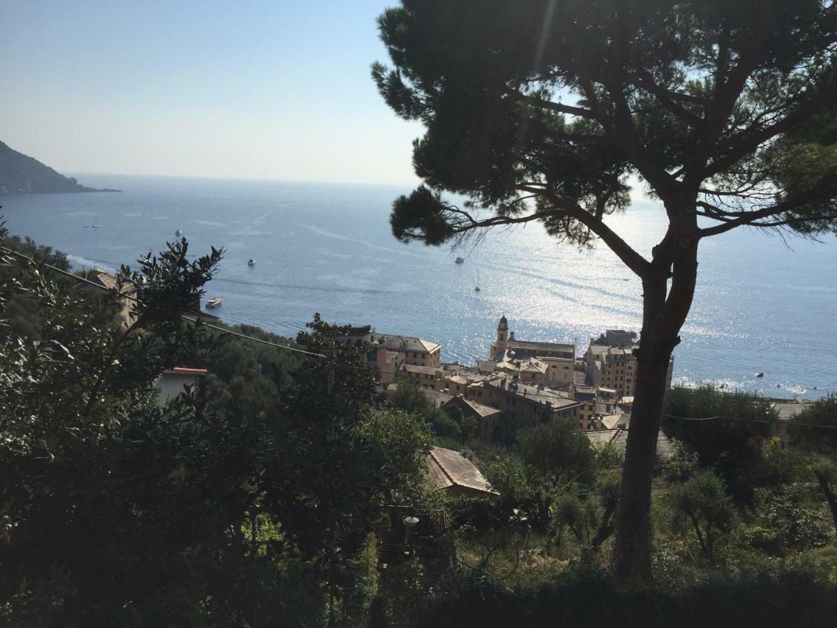 Villa San Prospero Camogli Exteriér fotografie