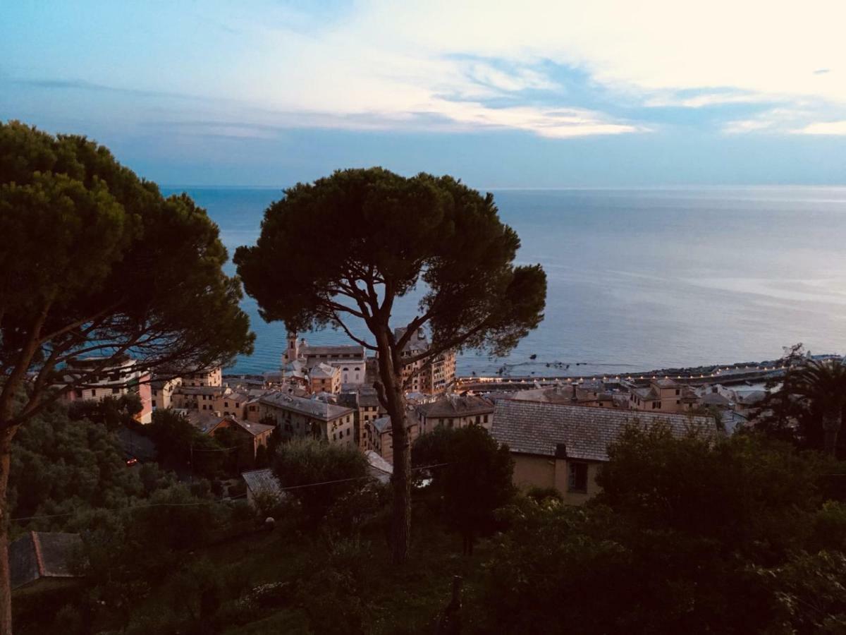 Villa San Prospero Camogli Exteriér fotografie