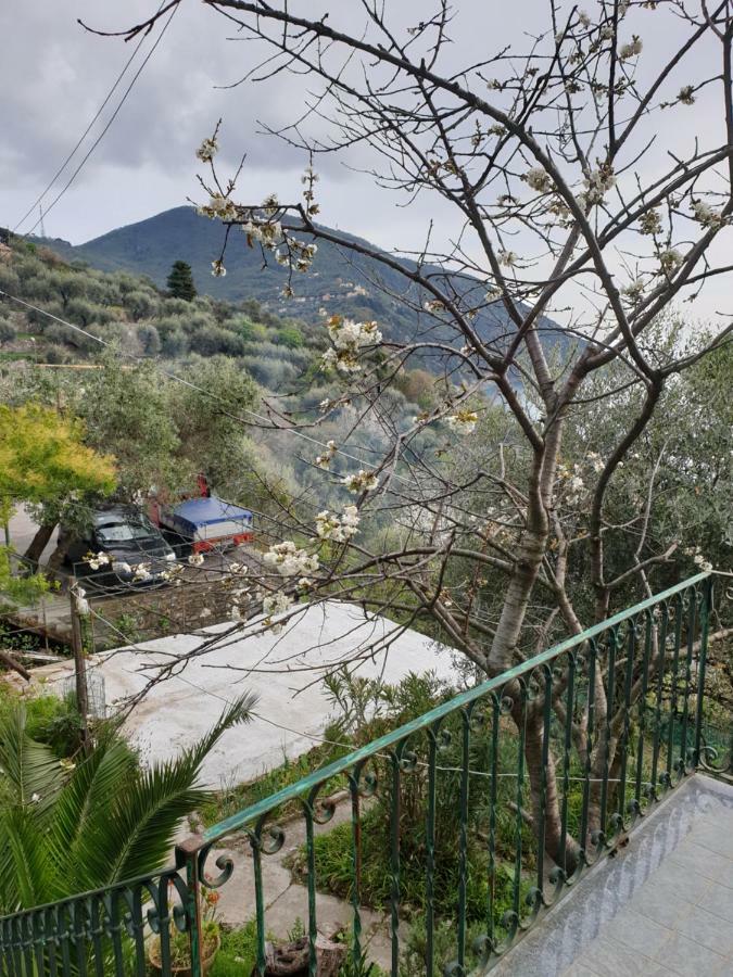 Villa San Prospero Camogli Exteriér fotografie