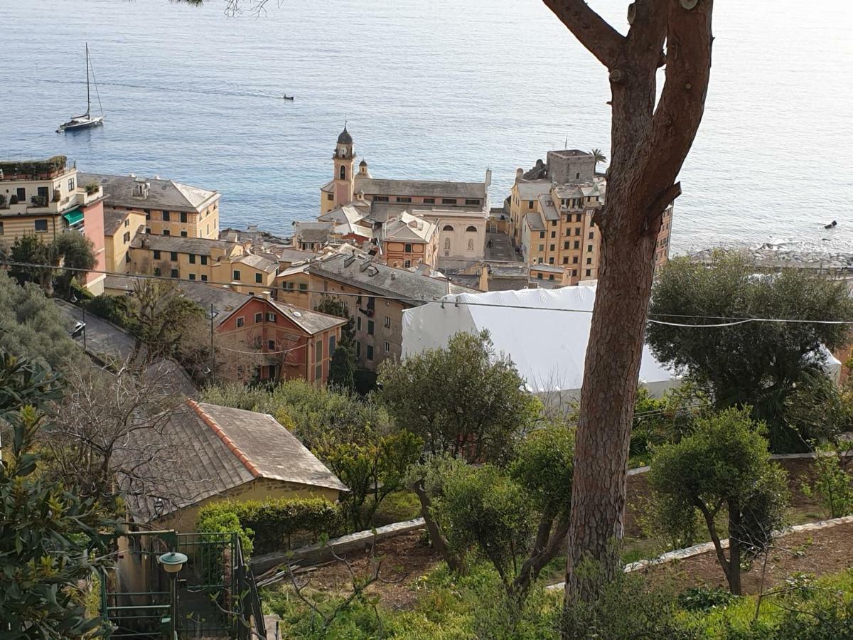 Villa San Prospero Camogli Exteriér fotografie